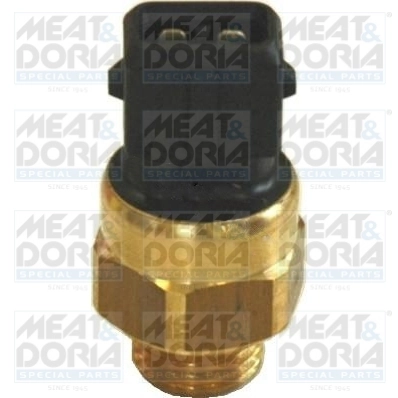 Temperature Switch, coolant warning lamp